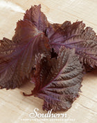 Red Shiso – 200 Seeds