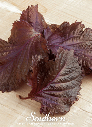 Red Shiso – 200 Seeds