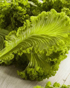 Southern Giant Mustard – 250 Seeds
