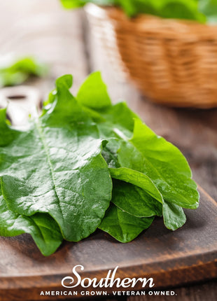Garden Sorrel – 200 Seeds