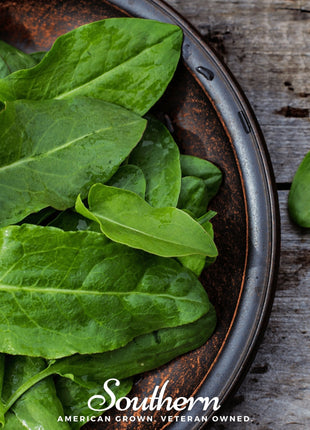 Garden Sorrel – 200 Seeds