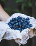 Southern Highbush Blueberry – 50 Seeds