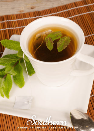 Spearmint – 200 Seeds