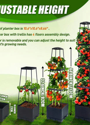 Garden Raised Bed Planter Boxes with Trellis