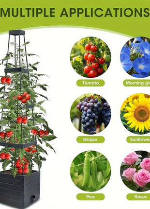 Garden Raised Bed Planter Boxes with Trellis