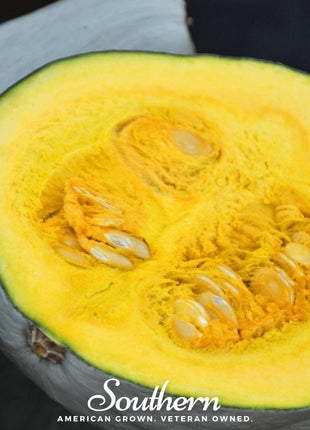 Blue Hubbard Winter Squash – 20 Seeds