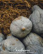 Blue Hubbard Winter Squash – 20 Seeds