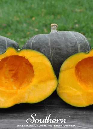 Buttercup Burgess Winter Squash – 20 Seeds