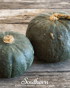Buttercup Burgess Winter Squash – 20 Seeds