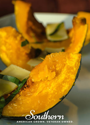 Buttercup Burgess Winter Squash – 20 Seeds
