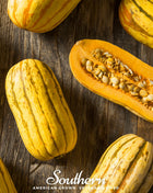 Delicata Squash – 20 Seeds