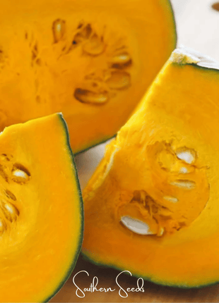 Black Forest Kabocha Squash – 10 Seeds