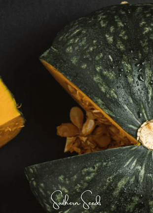 Black Forest Kabocha Squash – 10 Seeds