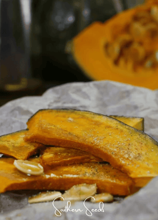 Black Forest Kabocha Squash – 10 Seeds