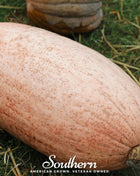 Pink Banana Squash – 25 Seeds