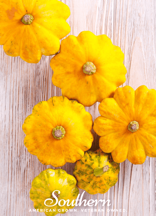 Scallop Yellow Bush Summer Squash – 25 Seeds