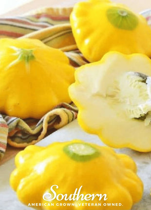Scallop Yellow Bush Summer Squash – 25 Seeds