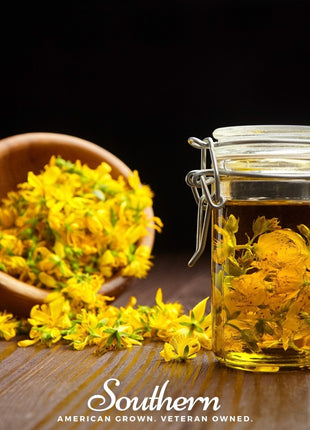Dotted St. John’s Wort – 100 Seeds