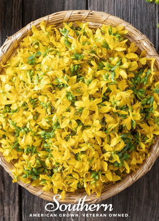St. John’s Wort – 100 Seeds