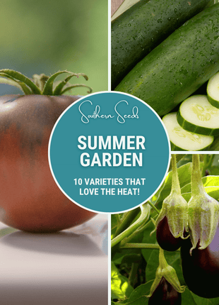 Summer Garden Seed Collection – 10 Heat Loving Varieties