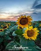 Skyscraper Sunflower – 25 Seeds