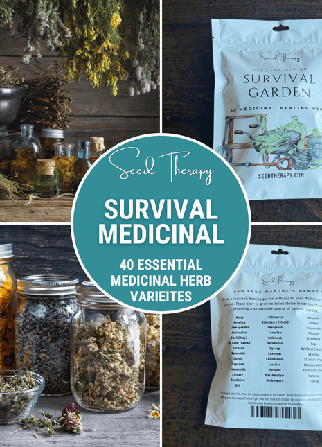 Survival Garden Combo – 40 Vegetable & 40 Medicinal Herb Varieties