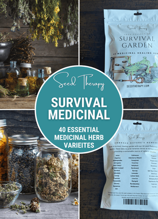 Survival Medicinal Herb Garden – 40 Essential Varieties