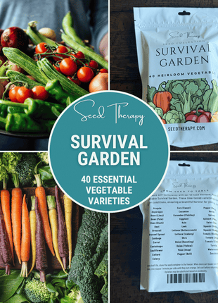 Survival Vegetable Garden – 40 Essential Crops