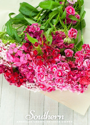 Sweet William (Dianthus) – 250 Seeds