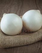 Spanish White Sweet Onion – 200 Seeds