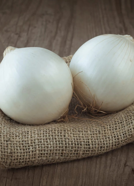Spanish White Sweet Onion – 200 Seeds