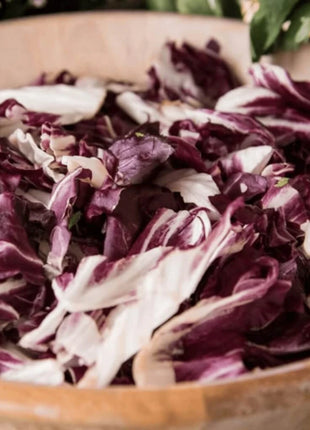Palla Rossa Radicchio – 100 Seeds