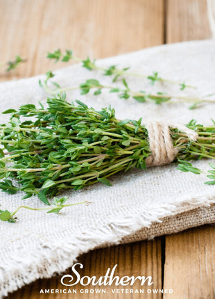 Common Thyme – 250 Seeds