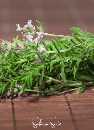German Winter Thyme – 200 Seeds