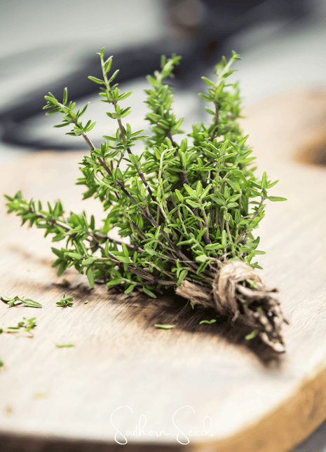 German Winter Thyme – 200 Seeds