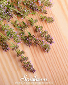Wild Thyme – 250 Seeds