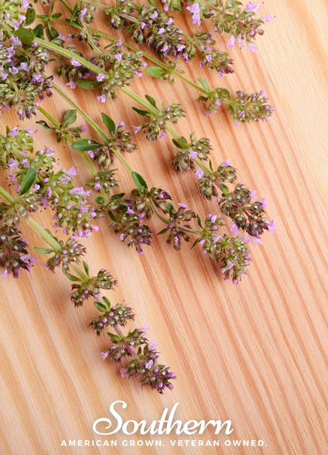 Wild Thyme – 250 Seeds