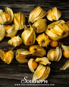 Husk Cherry Tomatillo – 20 Seeds