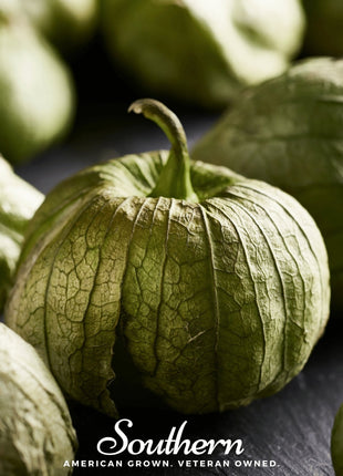 Verde Rio Grande Tomatillo – 50 Seeds