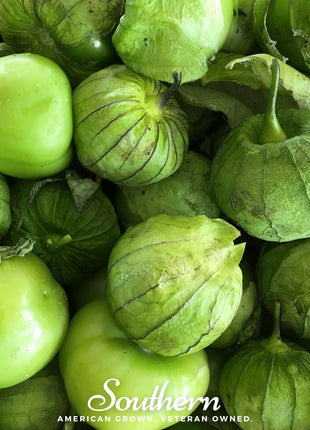 Verde Rio Grande Tomatillo – 50 Seeds