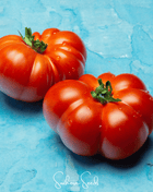 Red Brandywine Tomato –  50 Seeds