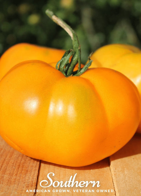 Yellow Brandywine Tomato – 50 Seeds