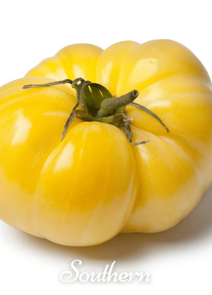 Yellow Brandywine Tomato – 50 Seeds