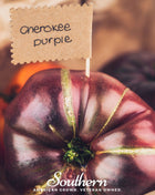 Cherokee Purple Tomato – 50 Seeds