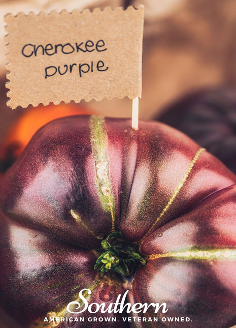 Cherokee Purple Tomato – 50 Seeds