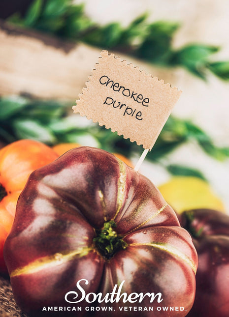 Cherokee Purple Tomato – 50 Seeds