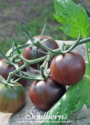Chocolate Cherry Tomato – 25 Seeds