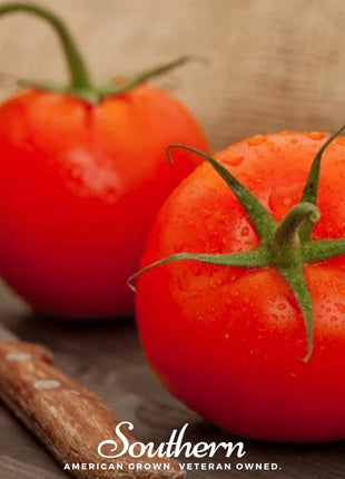Floridade Tomato – 50 Seeds