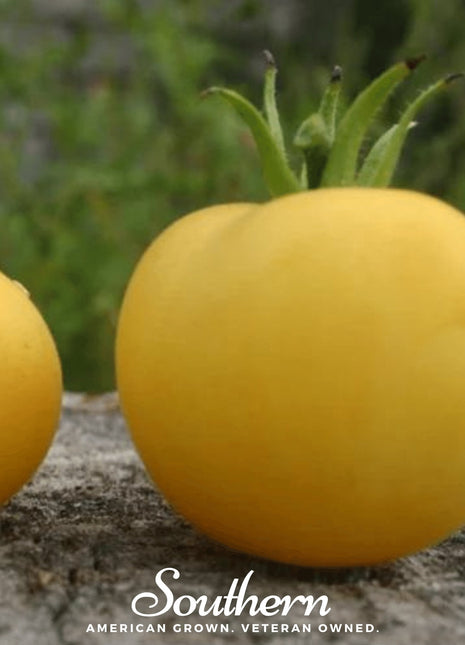 Garden Peach Tomato – 50 Seeds