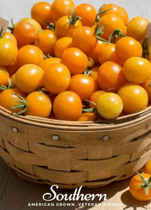 Gold Nugget Tomato – 50 Seeds